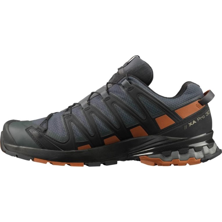 Sapatilhas Trail Running Salomon Xa Pro 3d V8 GTX Masculino Azul Marinho | PT G32695